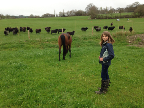 The Rolling Hills of Otter Valley